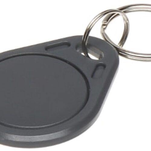WL4 RFID tags grijs met key ring (10 stuks)