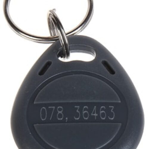 WL4 RFID tags grijs met key ring (10 stuks) met serienummer